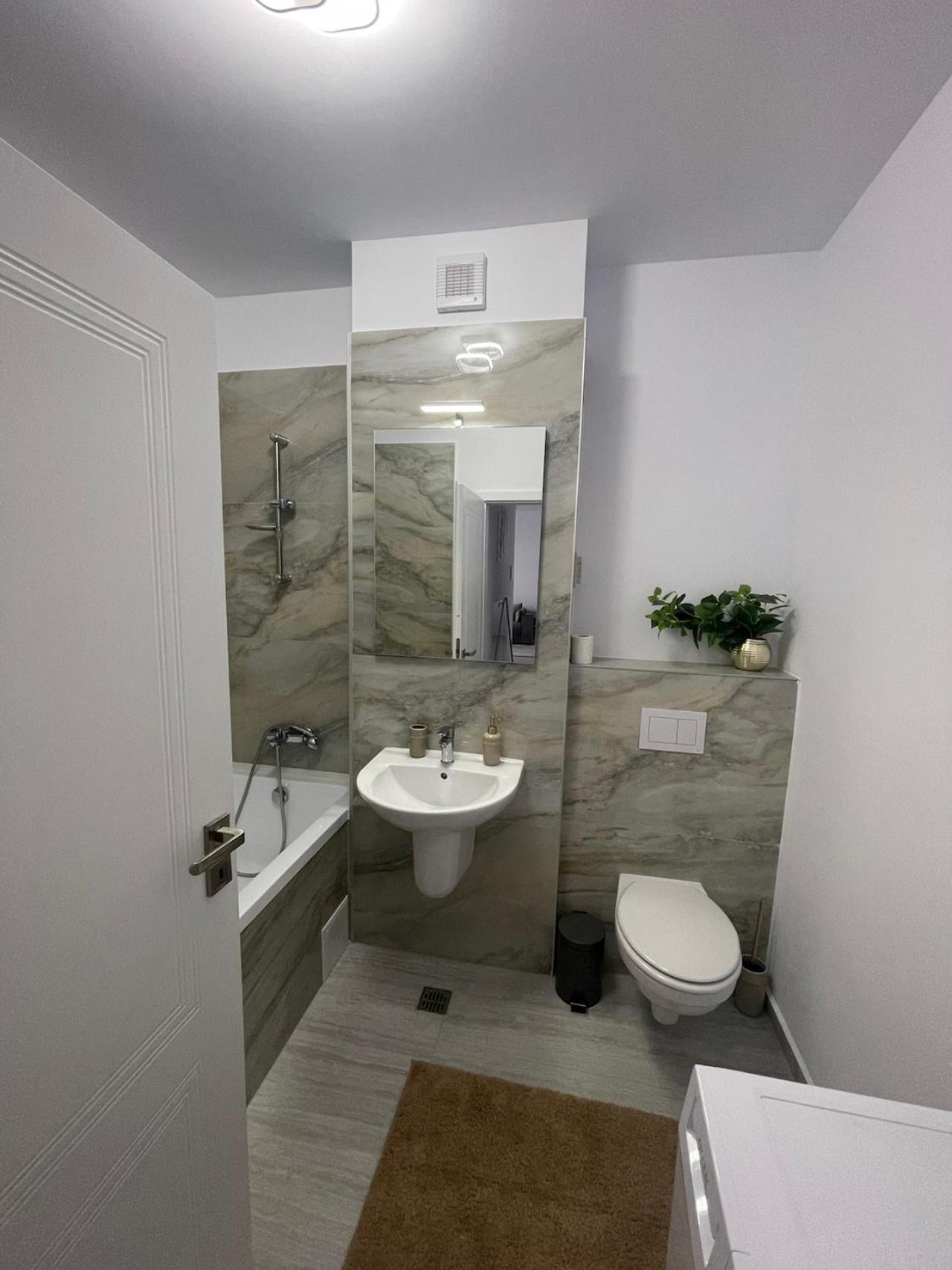 Harmony Apartment Timisoara Esterno foto